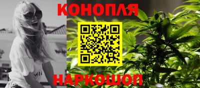 крисы Кинель