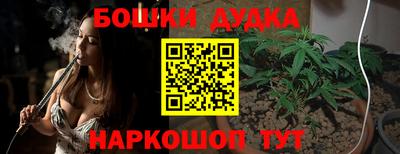 крисы Кинель