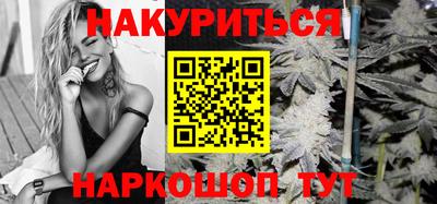 крисы Кинель