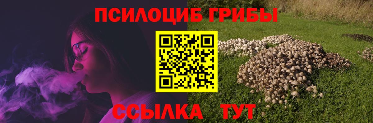 Кохма  Галлюциногенные грибы прущие грибы  Вход с VPN 